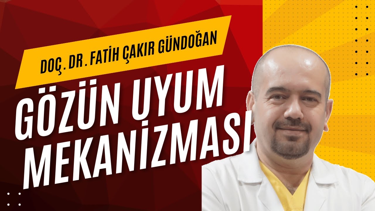 Gözün Uyum Mekanizması